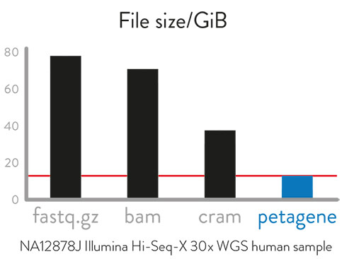 Table showing size of files created using Fastq.gz, bam, cram and PetaGene compression