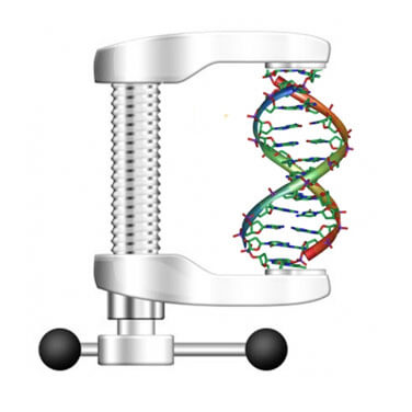 dna-compression