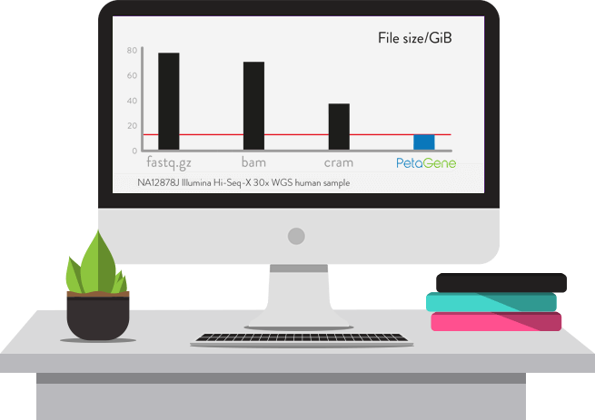 Table showing size of files created using Fastq.gz, bam, cram and PetaGene compression